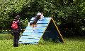 
065.JPG							