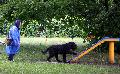 
073.JPG							