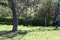 
073.JPG							
