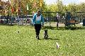 
082.JPG							