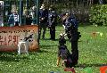 
062.JPG							