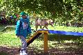 
074.JPG							