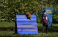 
084.JPG							