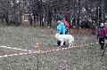 
080.JPG							