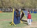 
img-017.jpg							