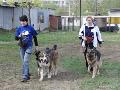 
img-026.jpg							