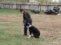 
img-1005.jpg							