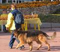 
PICT0072.jpg							