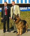 
PICT0099.jpg							