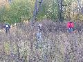 
img-022.jpg							