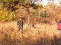 
img-023.jpg							