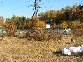 
img-031.jpg							