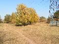 
img-033.jpg							