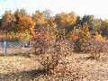 
img-035.jpg							