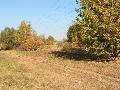
img-036.jpg							