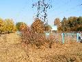 
img-038.jpg							