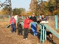 
img-047.jpg							