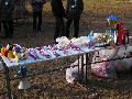 
img-004.jpg							