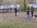 
img-013.jpg							