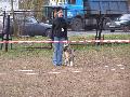 
img-014.jpg							