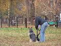 
img-018.jpg							