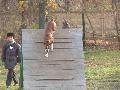 
img-020.jpg							
