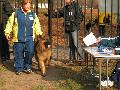 
img-026.jpg							