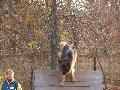 
img-031.jpg							