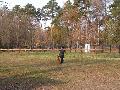 
img-032.jpg							