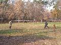 
img-033.jpg							