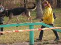
img-037.jpg							