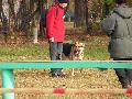 
img-045.jpg							