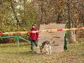 
img-046.jpg							