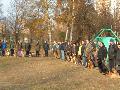 
img-059.jpg							