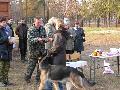 
img-074.jpg							