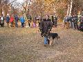 
img-112.jpg							