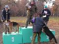 
img-117.jpg							