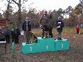 
img-118.jpg							