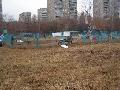
img-003.jpg							