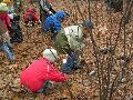 
img-012.jpg							