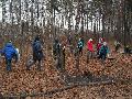 
img-014.jpg							