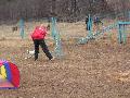 
img-025.jpg							