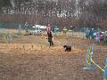 
img-026.jpg							