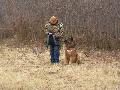 
img-030.jpg							