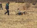 
img-041.jpg							