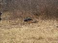 
img-044.jpg							