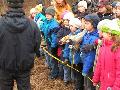 
img-049.jpg							