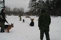
IMG_0205_resize.JPG							