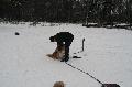 
IMG_0206_resize.JPG							