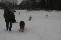 
IMG_0222_resize.JPG							